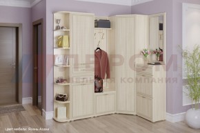 Прихожая Карина композиция 5 (Ясень Асахи) в Ревде - revda.ok-mebel.com | фото