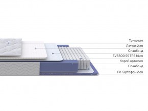 PROxSON Матрас Active Duo S/F (Ткань Трикотаж Эко) 180x200 в Ревде - revda.ok-mebel.com | фото 2