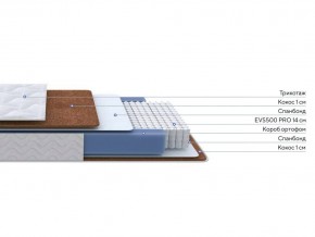 PROxSON Матрас Active F Roll (Ткань Трикотаж Эко) 120x200 в Ревде - revda.ok-mebel.com | фото 2