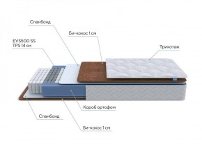 PROxSON Матрас Active F Roll (Ткань Трикотаж Эко) 120x190 в Ревде - revda.ok-mebel.com | фото 7