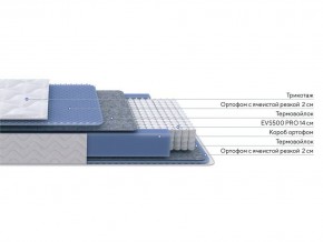 PROxSON Матрас Active M Roll (Ткань Трикотаж Эко) 160x195 в Ревде - revda.ok-mebel.com | фото 2
