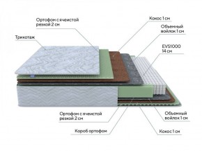 PROxSON Матрас Green M (Tricotage Dream) 120x210 в Ревде - revda.ok-mebel.com | фото 7