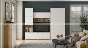 МИЛАН-1 Секция ТВ (ЦРК.МЛН.01 секция ТВ) в Ревде - revda.ok-mebel.com | фото 3