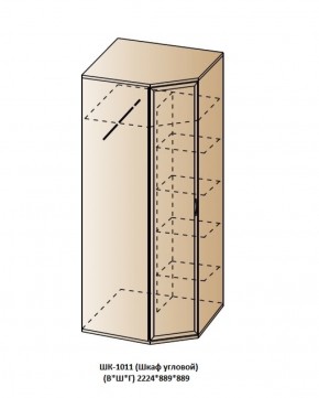 ШК-1011 (Шкаф угловой) в Ревде - revda.ok-mebel.com | фото