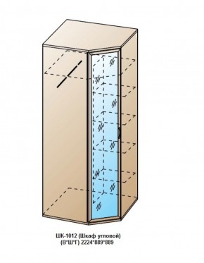 ШК-1012 (Шкаф угловой) в Ревде - revda.ok-mebel.com | фото