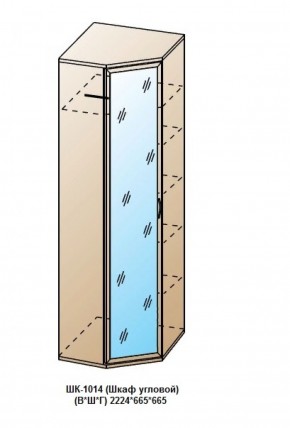 ШК-1014 (Шкаф угловой) в Ревде - revda.ok-mebel.com | фото
