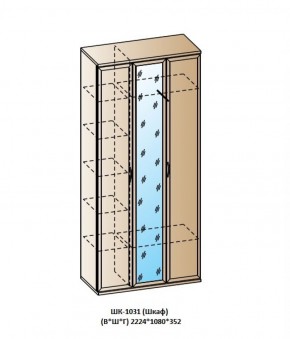 ШК-1031 (Шкаф) в Ревде - revda.ok-mebel.com | фото