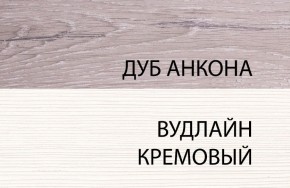 Шкаф 1DZ, OLIVIA, цвет вудлайн крем/дуб анкона в Ревде - revda.ok-mebel.com | фото 3