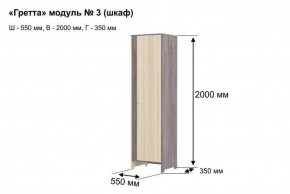 Шкаф 2-х створчатый "Гретта 3" в Ревде - revda.ok-mebel.com | фото 6