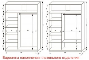 Шкаф-купе 1600 серии SOFT D6+D4+B2+PL2 (2 ящика+1штанга+1 полка) профиль «Капучино» в Ревде - revda.ok-mebel.com | фото 8