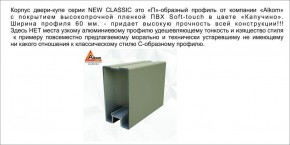 Шкаф-купе 1700 серии NEW CLASSIC K6Z+K6+B2+PL3 (2 ящика+2 штанги) профиль «Капучино» в Ревде - revda.ok-mebel.com | фото 17