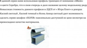 Шкаф-купе 2250 серии SILVER S3+S1+S3Z B22+PL2 (по 2 ящика лев/прав+1штанга+1 полка) профиль «Серебро» в Ревде - revda.ok-mebel.com | фото 4