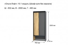 ОЛЬГА-ЛОФТ 10.1 Шкаф-купе без зеркала в Ревде - revda.ok-mebel.com | фото 3