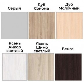 Шкаф-купе ХИТ 22-4-12/2-77 (420) в Ревде - revda.ok-mebel.com | фото 3