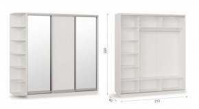 Шкаф-купе Тетрис 210/220 (ЗДЗ) Белый жемчуг в Ревде - revda.ok-mebel.com | фото