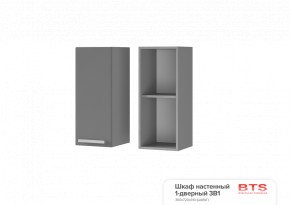 ШКАФ НАСТЕННЫЙ 1-ДВЕРНЫЙ 3В1 (300Х720Х310 см) КГ Крафт в Ревде - revda.ok-mebel.com | фото