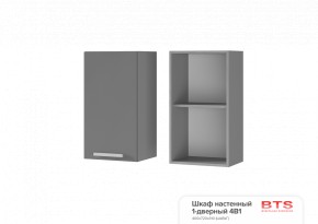 ШКАФ НАСТЕННЫЙ 1-ДВЕРНЫЙ 4В1 (400Х720Х310) КГ Крафт в Ревде - revda.ok-mebel.com | фото