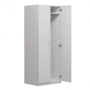 Шкаф ПЕГАС двухдверный, цвет белый в Ревде - revda.ok-mebel.com | фото 2