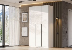 Шкаф платяной Даиго в Ревде - revda.ok-mebel.com | фото 3