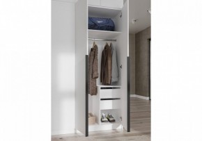 Шкаф платяной Широн в Ревде - revda.ok-mebel.com | фото 3