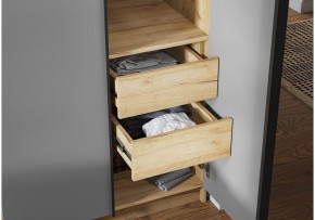 Шкаф платяной Широн в Ревде - revda.ok-mebel.com | фото 3