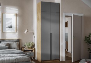 Шкаф платяной Широн в Ревде - revda.ok-mebel.com | фото 4