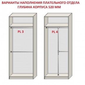 Шкаф распашной серия «ЗЕВС» (PL3/С1/PL2) в Ревде - revda.ok-mebel.com | фото 10