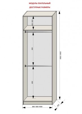 Шкаф распашной серия «ЗЕВС» (PL3/С1/PL2) в Ревде - revda.ok-mebel.com | фото 12