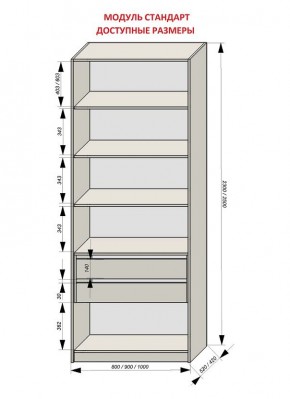 Шкаф распашной серия «ЗЕВС» (PL3/С1/PL2) в Ревде - revda.ok-mebel.com | фото 13