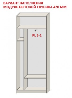 Шкаф распашной серия «ЗЕВС» (PL3/С1/PL2) в Ревде - revda.ok-mebel.com | фото 4