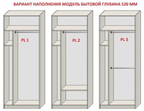 Шкаф распашной серия «ЗЕВС» (PL3/С1/PL2) в Ревде - revda.ok-mebel.com | фото 5