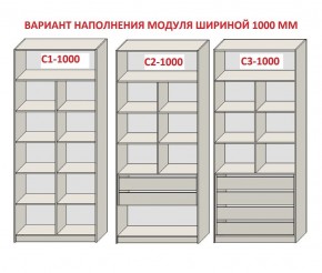 Шкаф распашной серия «ЗЕВС» (PL3/С1/PL2) в Ревде - revda.ok-mebel.com | фото 7