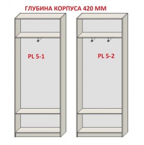 Шкаф распашной серия «ЗЕВС» (PL3/С1/PL2) в Ревде - revda.ok-mebel.com | фото 8