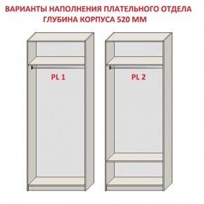 Шкаф распашной серия «ЗЕВС» (PL3/С1/PL2) в Ревде - revda.ok-mebel.com | фото 9