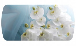 Стол Бостон-3 (Белая Орхидея) 1100/1420*700, опора Брифинг в Ревде - revda.ok-mebel.com | фото 2