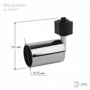 Светильник на штанге Эра  TR14-GU10 CH в Ревде - revda.ok-mebel.com | фото 4