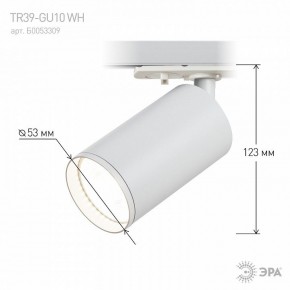 Светильник на штанге Эра  TR39-GU10 WH в Ревде - revda.ok-mebel.com | фото 7