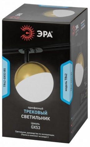 Светильник на штанге Эра  TR42-GX53 BS в Ревде - revda.ok-mebel.com | фото 6