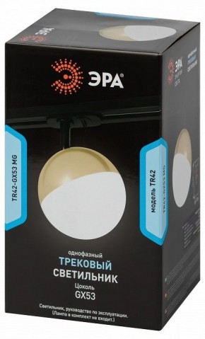 Светильник на штанге Эра  TR42-GX53 MG в Ревде - revda.ok-mebel.com | фото 6