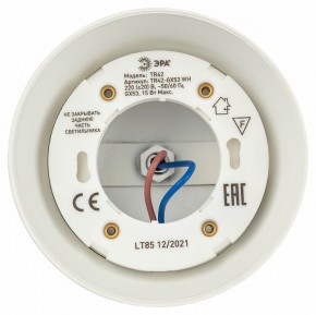 Светильник на штанге Эра  TR42-GX53 WH в Ревде - revda.ok-mebel.com | фото 5