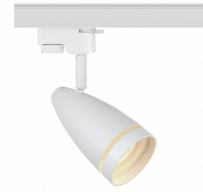 Светильник на штанге Эра  TR49 - GU10 WH в Ревде - revda.ok-mebel.com | фото