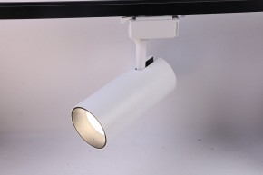 Светильник на штанге Эра  TR5-30 COB WH в Ревде - revda.ok-mebel.com | фото 2
