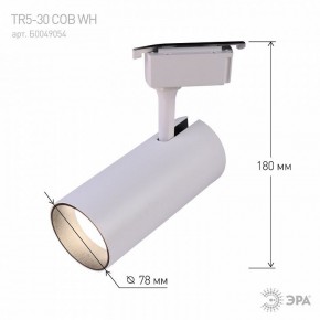 Светильник на штанге Эра  TR5-30 COB WH в Ревде - revda.ok-mebel.com | фото 6