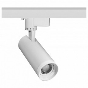 Светильник на штанге Эра  TR59 - 2030 WH в Ревде - revda.ok-mebel.com | фото