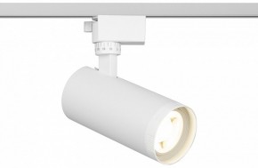 Светильник на штанге Эра  TR59 - 2040 WH в Ревде - revda.ok-mebel.com | фото