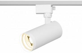 Светильник на штанге Эра  TR59 - 2040 WH в Ревде - revda.ok-mebel.com | фото 5