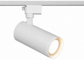 Светильник на штанге Эра  TR59 - 3030 WH в Ревде - revda.ok-mebel.com | фото