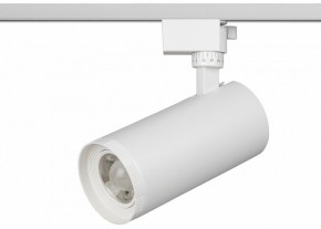 Светильник на штанге Эра  TR59 - 3030 WH в Ревде - revda.ok-mebel.com | фото 2