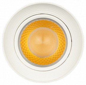 Светильник на штанге Эра  TR59 - 3030 WH в Ревде - revda.ok-mebel.com | фото 3
