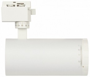 Светильник на штанге Эра  TR59 - 3030 WH в Ревде - revda.ok-mebel.com | фото 4